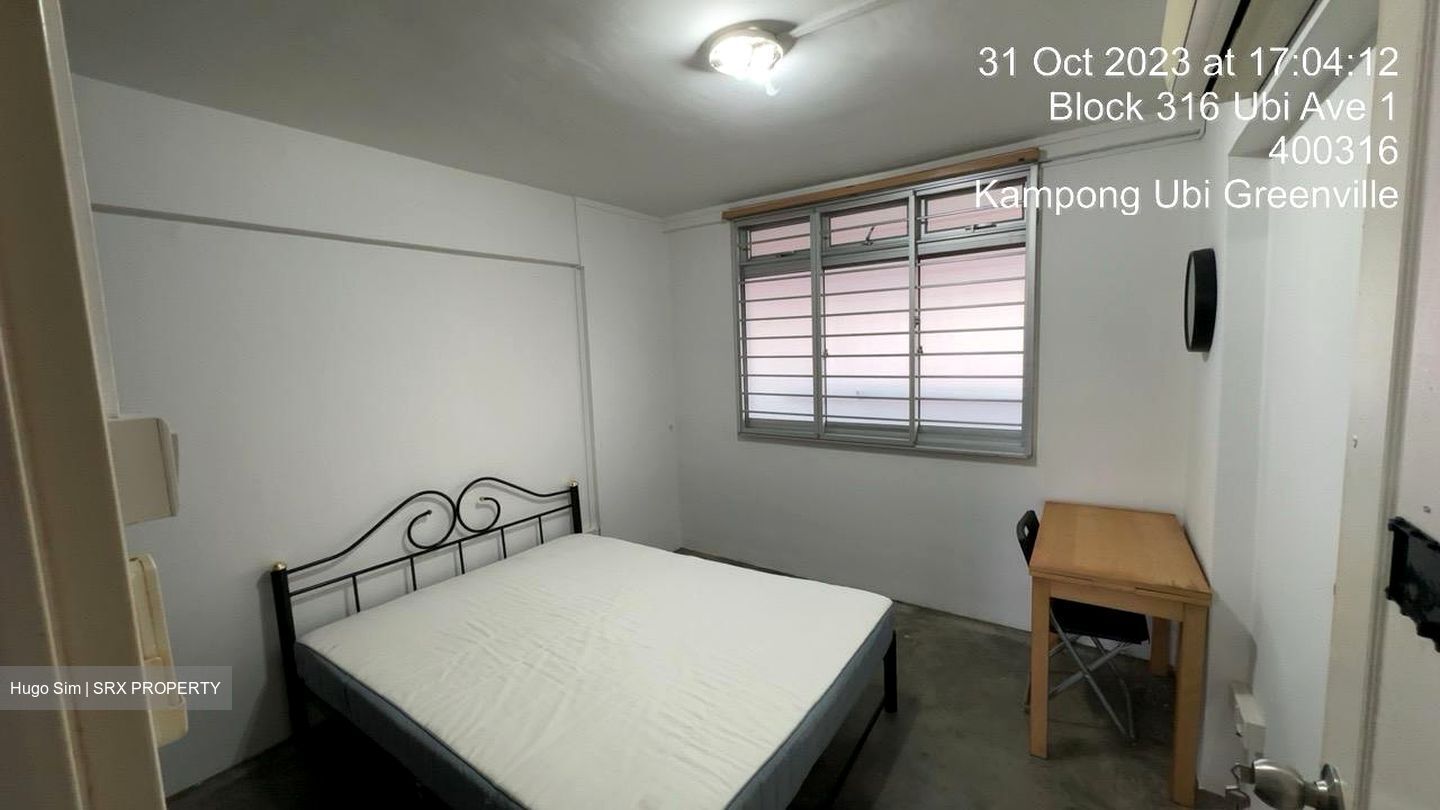 Blk 316 Ubi Avenue 1 (Geylang), HDB 4 Rooms #619288721